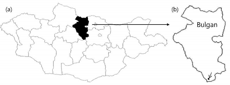 Fig. 1. Fig. 1.