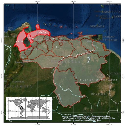 Fig. 3. Fig. 3.