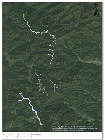 Fig. 5. Fig. 5.