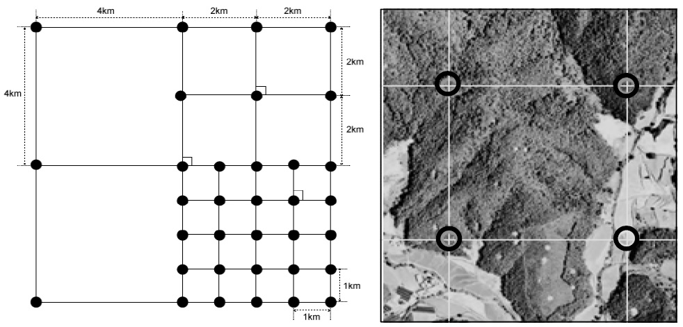 Fig. 1. Fig. 1.