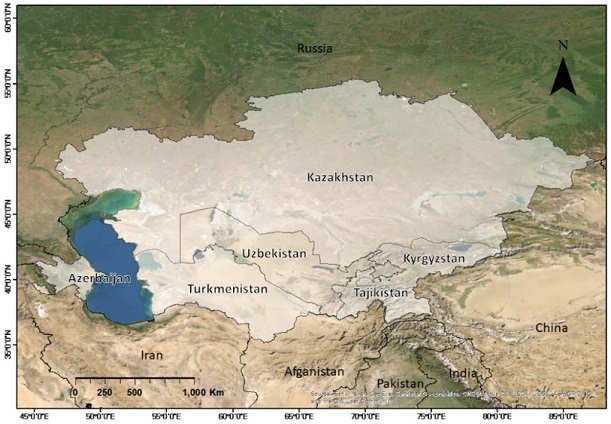 Fig. 1. Fig. 1.