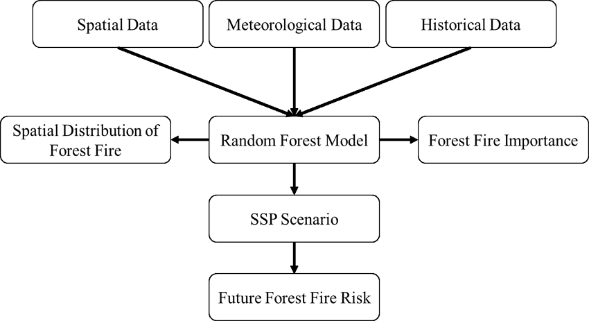 Fig. 3. Fig. 3.