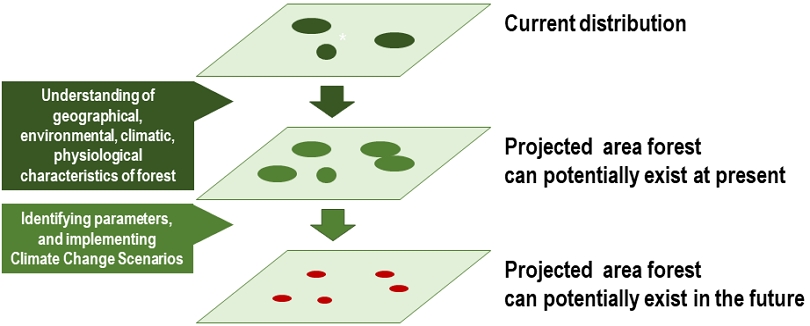 Fig. 4. Fig. 4.